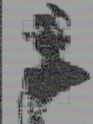 [t×6s]_[9b7a69ad-ff00-47f6-a814-c72fa588970f]_2026-04-15_11-13-47.png